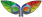 affordable web design